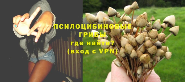 первитин Гусь-Хрустальный